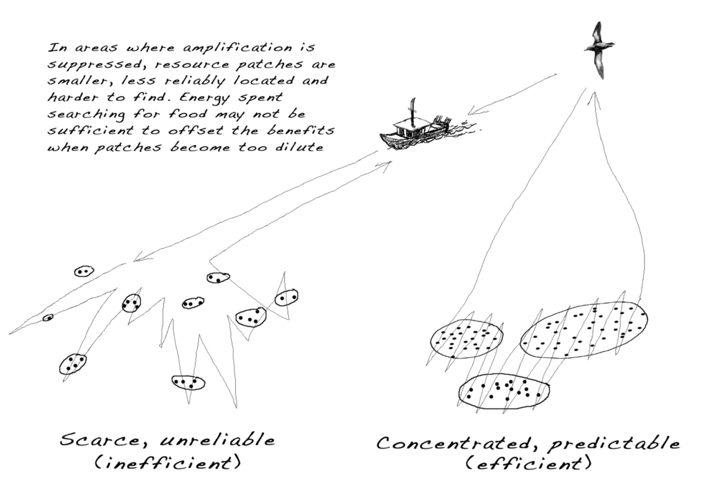 How do animals make our planet liveable? By concentrating resources where we can find them. Drawing, Simon Mustoe