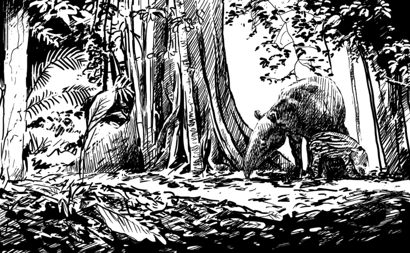 Top 5 reasons to conserve land animals and ecosystems