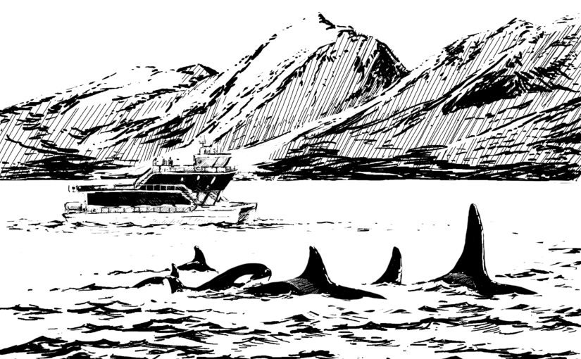 Norway’s electric boats powering ahead to reduce impacts on Killer Whales