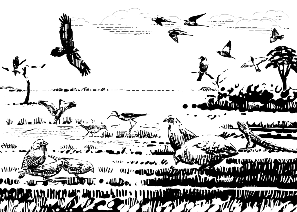Pesticides have even poisoned the minds of farm scientists. Wildlife is better at managing pests than poison!