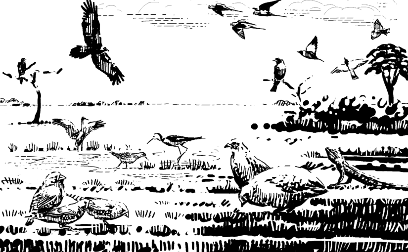 You can’t beat mouse plagues with poison drone strikes!