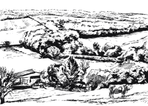 The importance of wildlife: Animal Impact. Cotswold Farmland. Drawing, Simon Mustoe