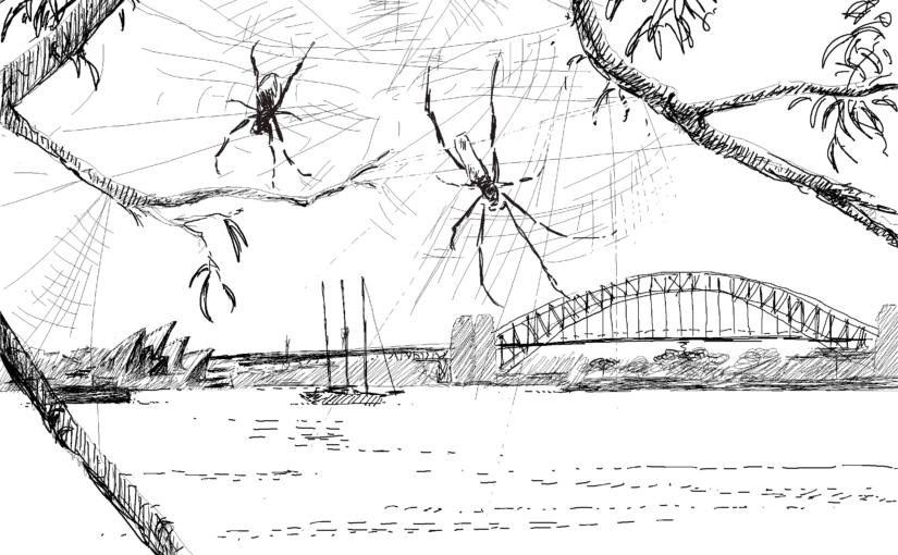 Spiders weave the threads of a new beginning