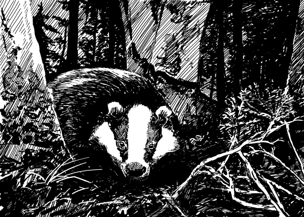 Wild animals reduce disease risk. There is no need to kill badgers.