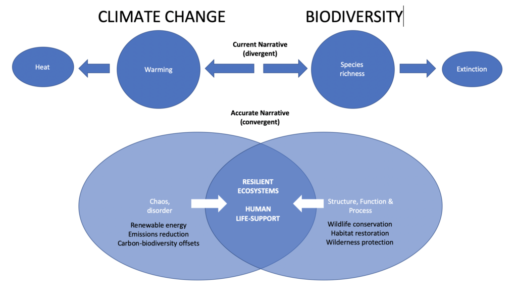 Biodiversity and Climate Change: review of the IPBES-IPCC report