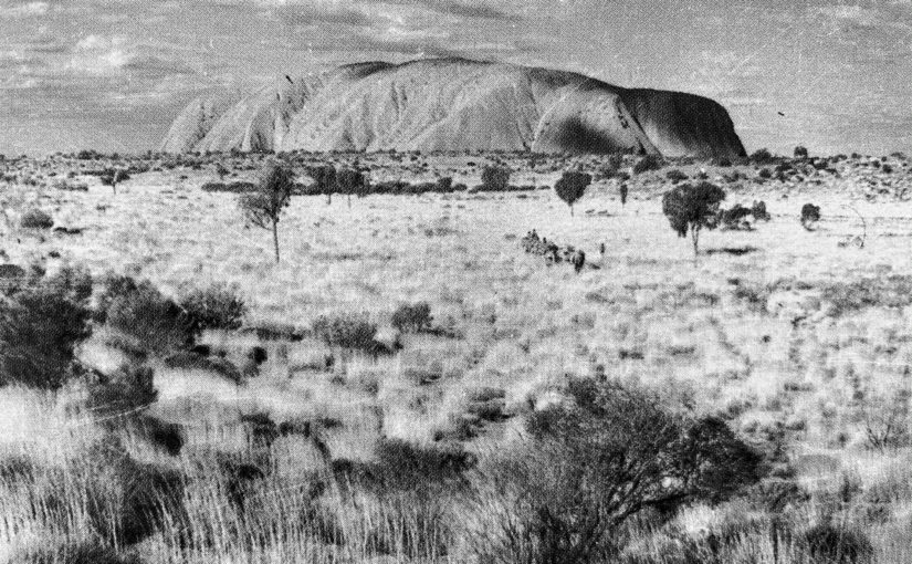 How Aboriginal people made the most successful ecosystems