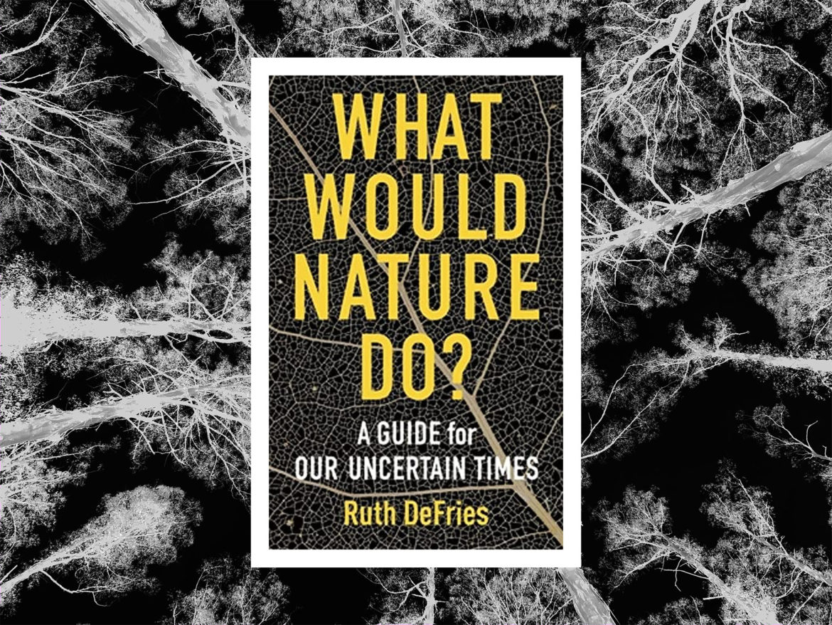 What Would Nature Do?: A Guide for Our Uncertain Times