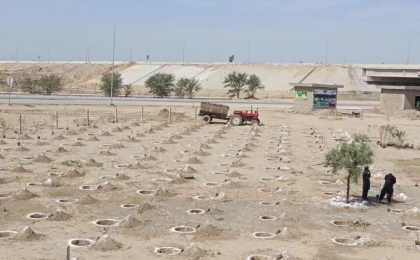 Will regreening deserts work to address climate change and famine?