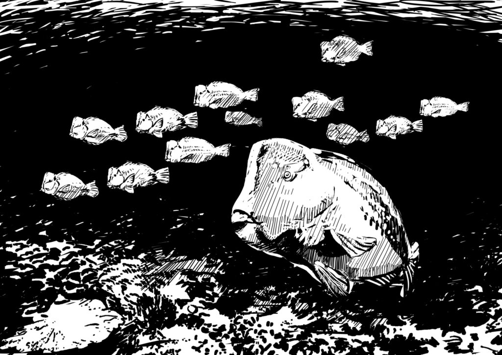How many animals does an ecosystem need?