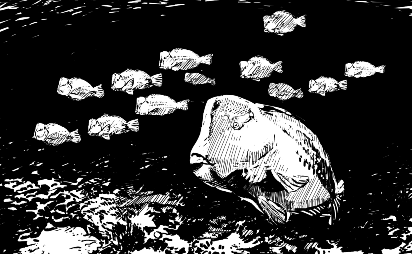 How many animals does an ecosystem need? The results may surprise you.