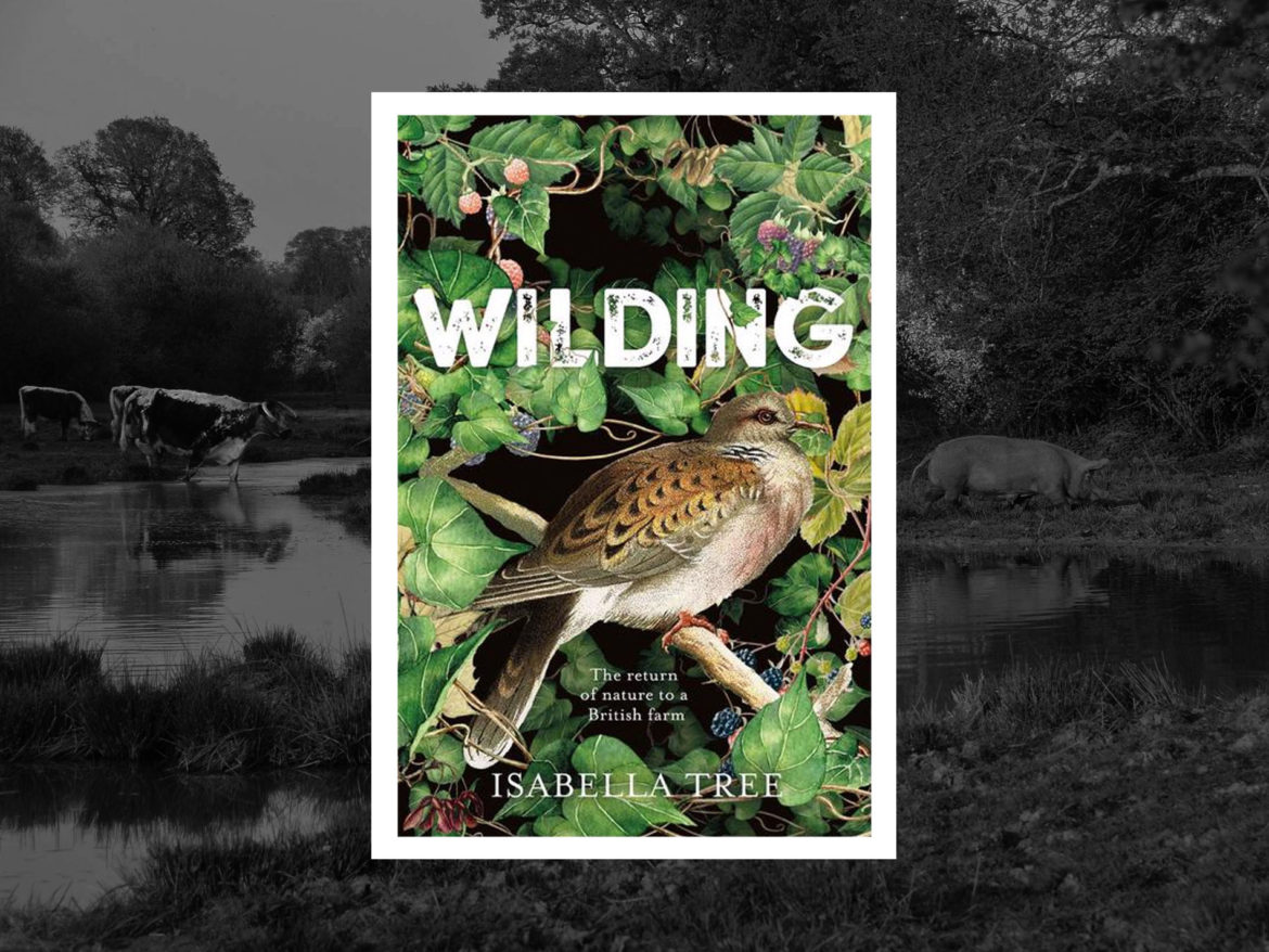 The importance of wildlife: Animal Impact.