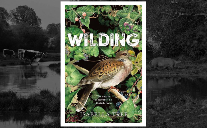 Book review of Wilding by Isabella Tree and the restorative power of nature