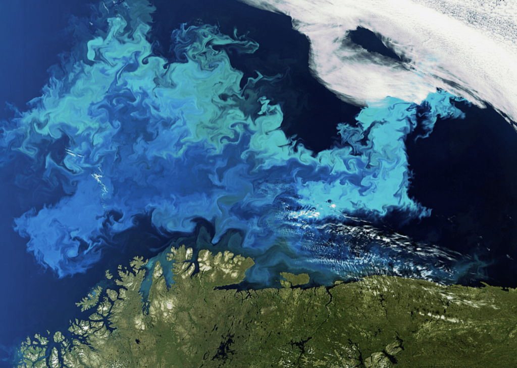 How many years will it take to restore the planet's ecosystems?