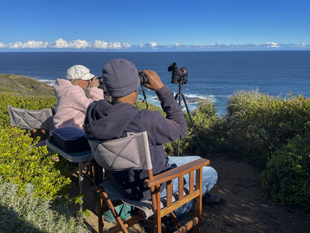 Equipment for whale-watching from land, near Melbourne. Binoculars are a must.