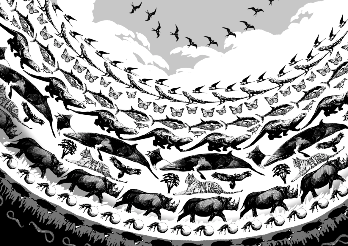 Why is wildlife conservation important? Layers of animal life cover our planet influencing everything from the the atmosphere to our oceans and soil. Without them we would not have a habitable planet. Wild animals turn dust into soil, carbon into food and the weather into a fair climate for living. Powerful quotes about nature and wildlife that inspire