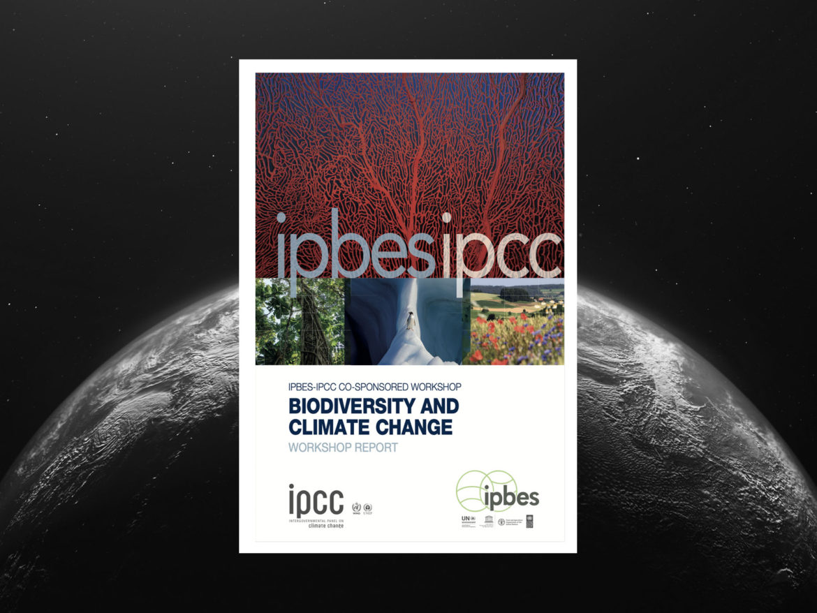 Wildlife Biodiversity and Climate Change: review of the IPBES-IPCC report