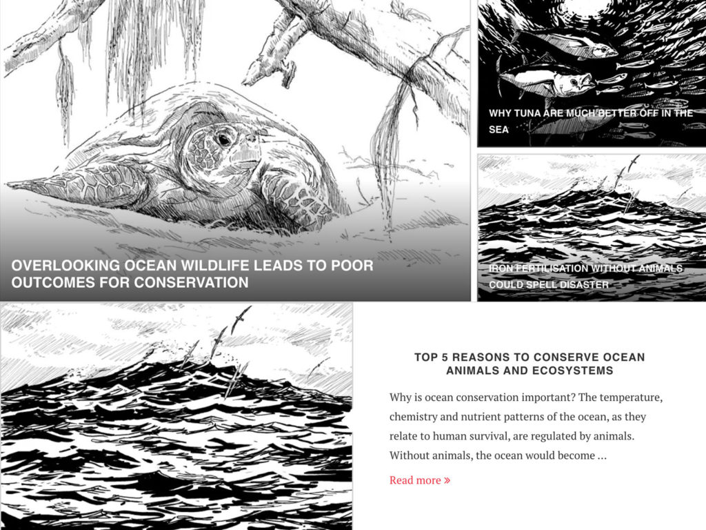 World Oceans Day. Why are the oceans important? The importance of wildlife.