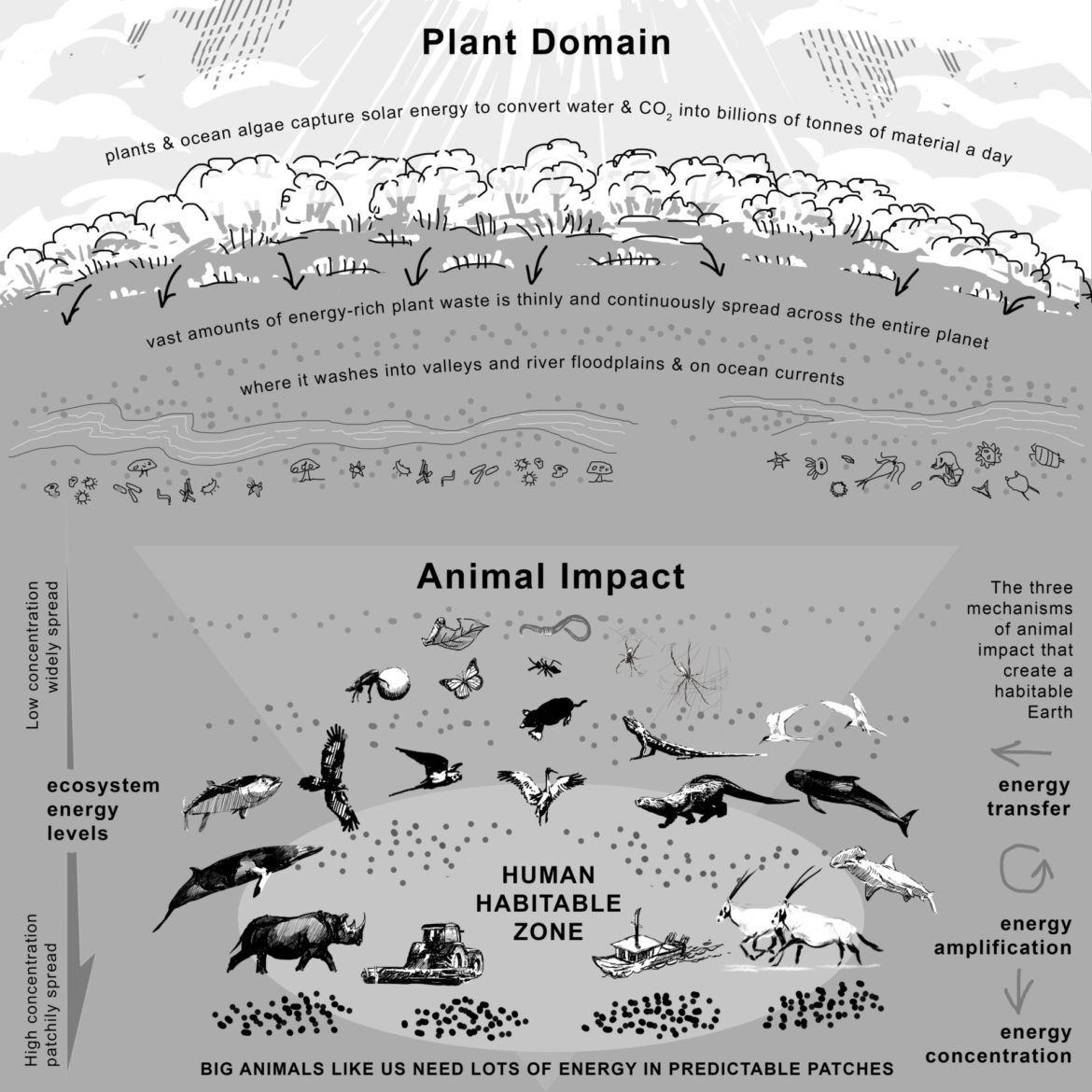 How animals make our planet liveable. Drawing, Simon Mustoe.