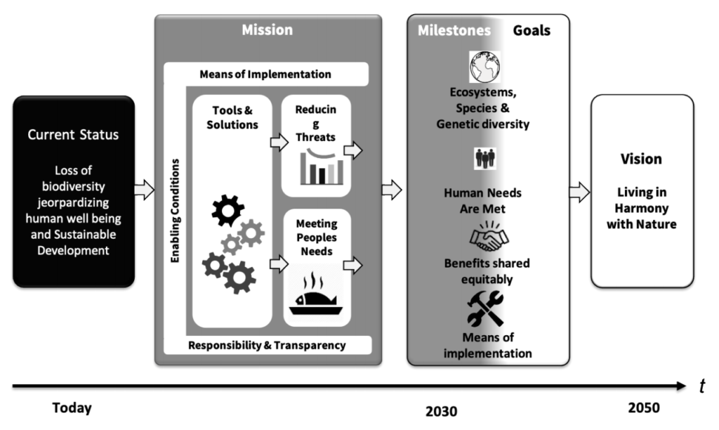United Nation's Post-2020 global biodiversity framework - Theory of Change