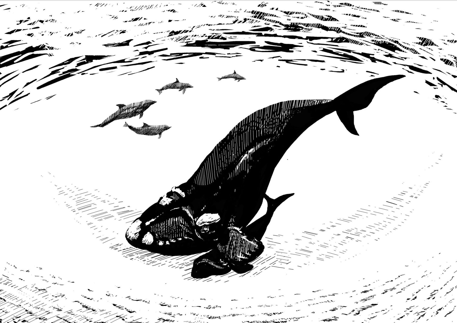 Biodiversity conservation makes us healthy, this is not a social construct