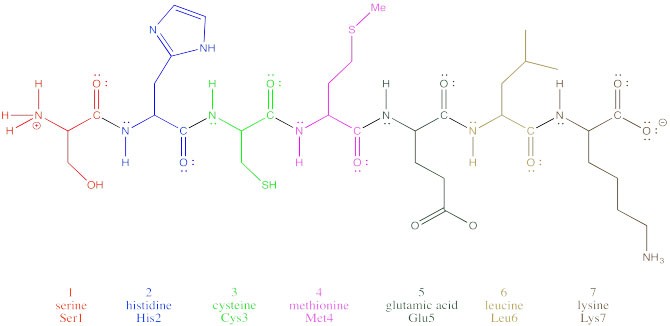There are only a small number of amino acids and only a certain number of ways they can be joined together. 