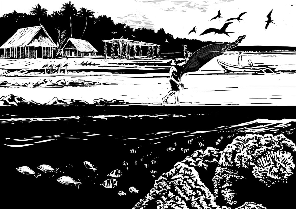 Catching frigatebirds and fish on Nauru. Drawing, Simon Mustoe