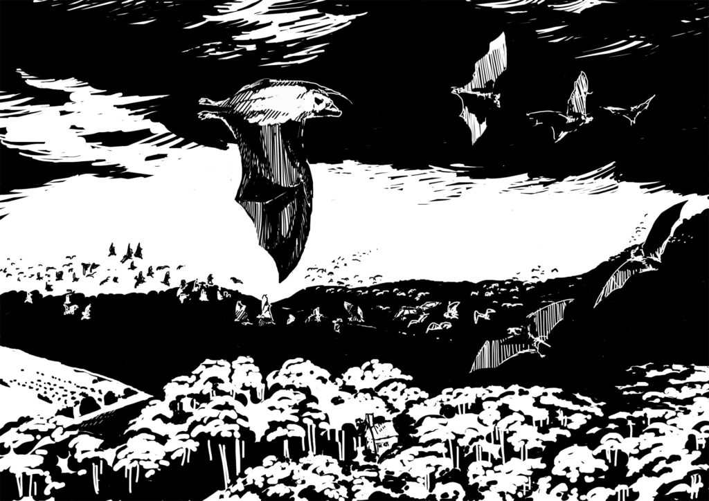 Grey-headed Flying Foxes. Drawing, Simon Mustoe. Why are fruit bats important? 