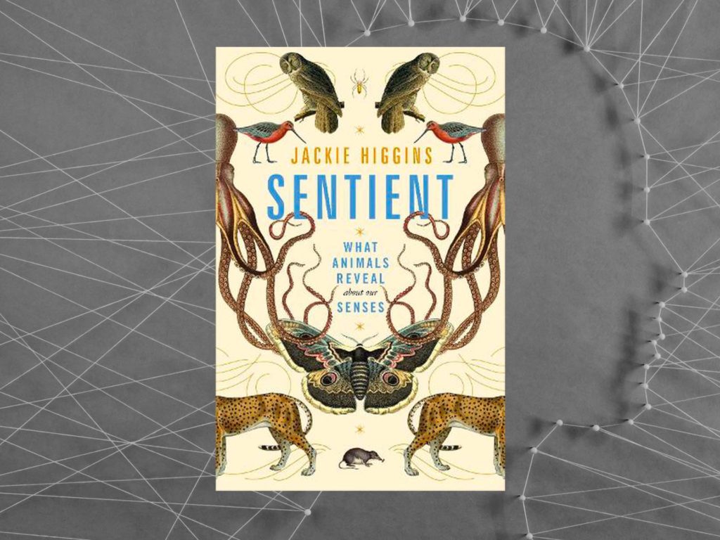 Sentient by Jackie Higgins