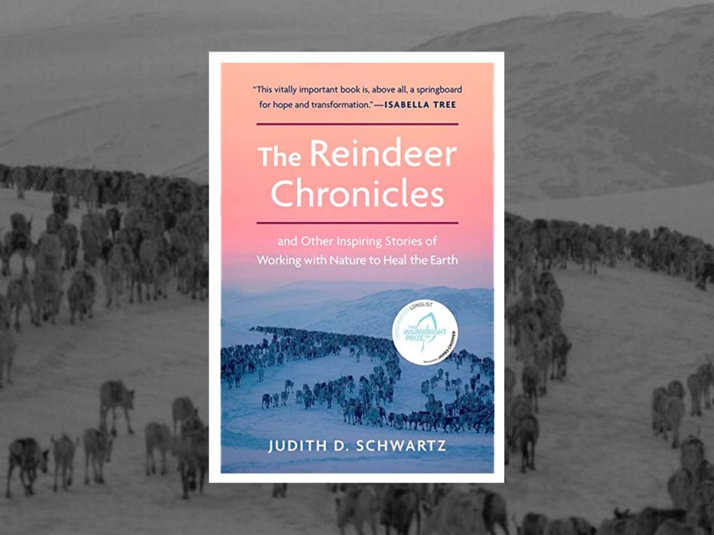 The Reindeer Chronicles by Judith Schwartz: a book review