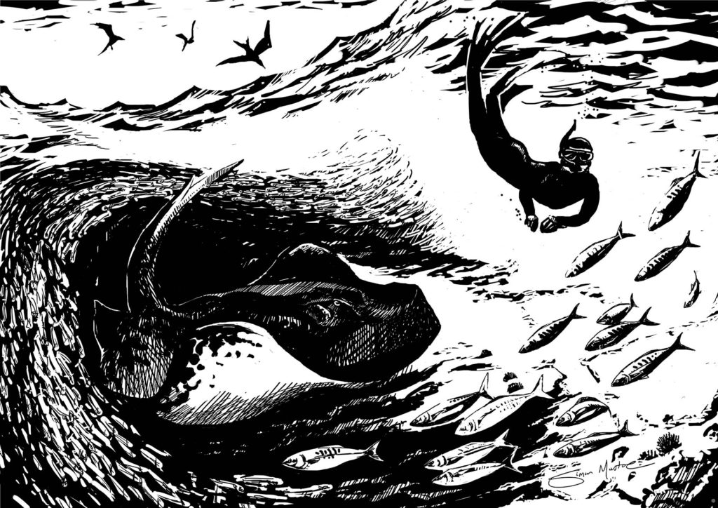 Before it started to feed, this 3m-long stingray swam slowly up to me and rested its head on my feet. It came around and did it again later. Can we talk to animals? It seems as though there was a level of understanding between us. Drawing, Simon Mustoe.