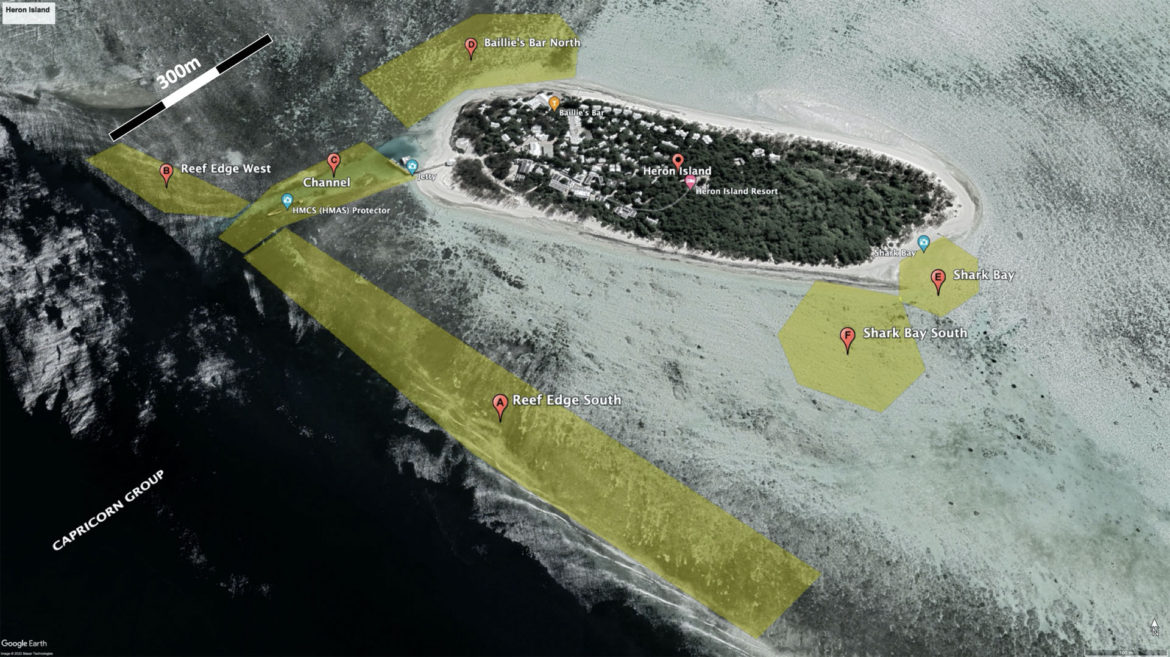 Snorkelling advice for Heron Island