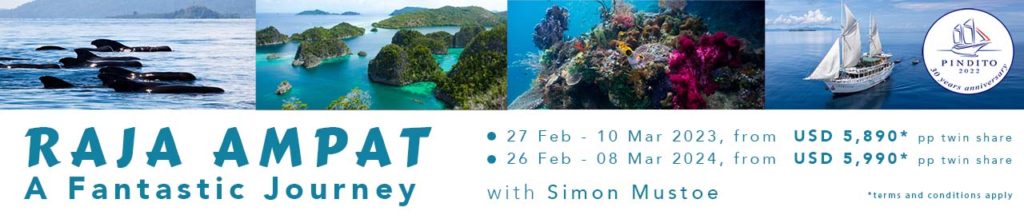 Raja-Ampat-2023-2024-Pindito