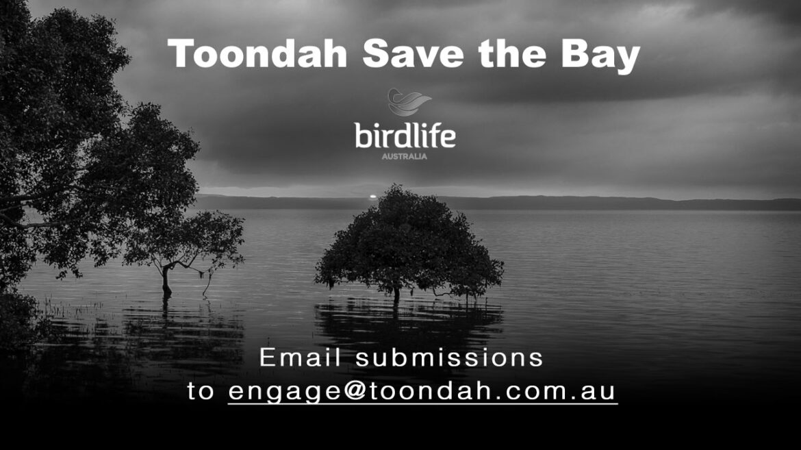 Toondah proposals are unwise. Saving shorebird habitat is the only hope.
