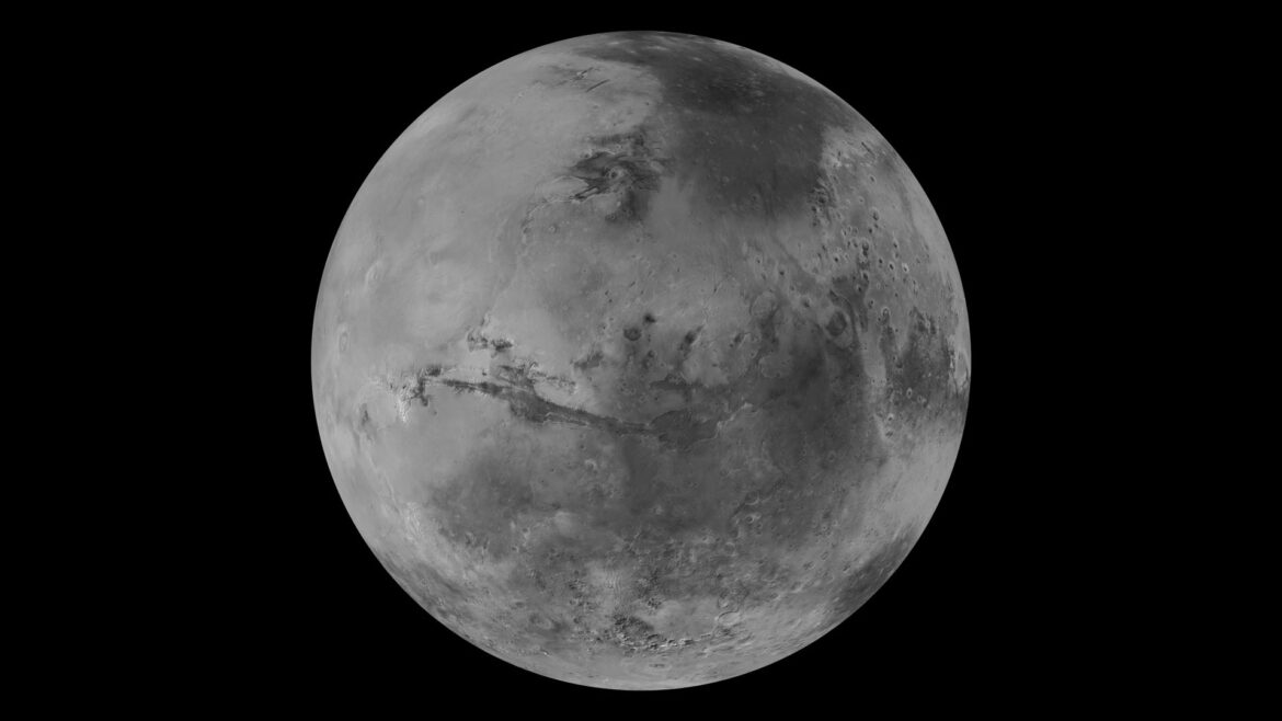 Life on Mars didn't make it to the animal stage