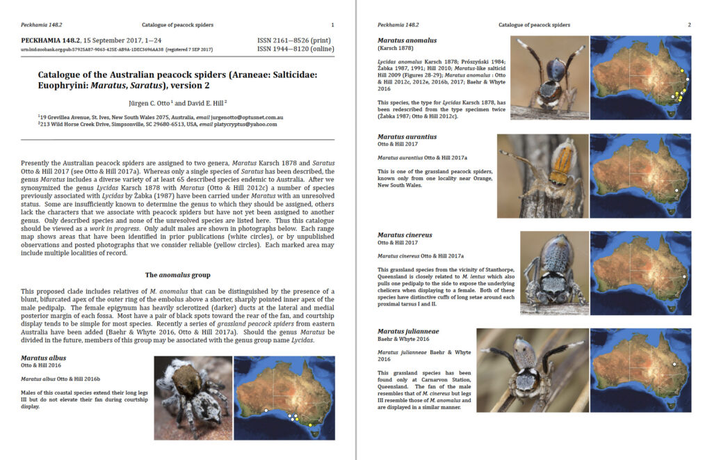 Seen any jumping spiders lately? Here is a handy guide to download.