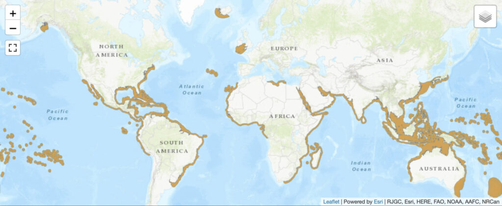 Four reasons why Tiger Sharks are really important