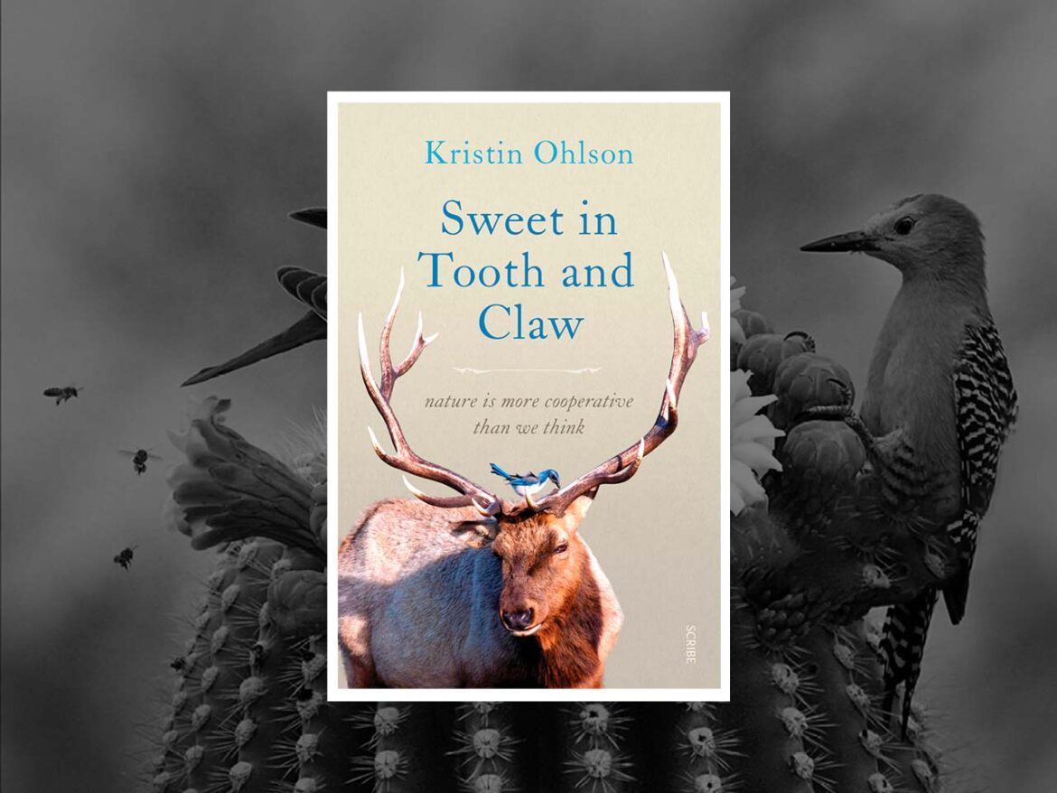 Sweet in Tooth and Claw Book Review. A vibrant history of our role in nature and our understanding of our relationship with it.