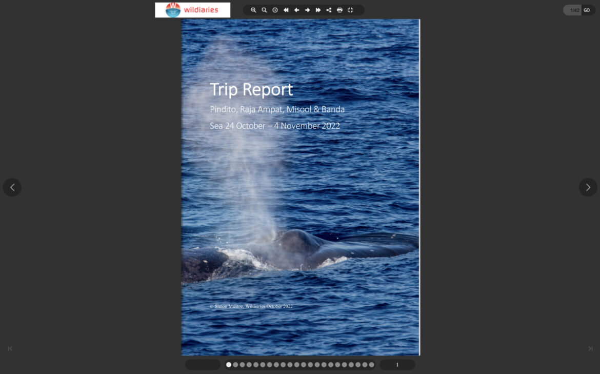 Banda Sea Trip Report