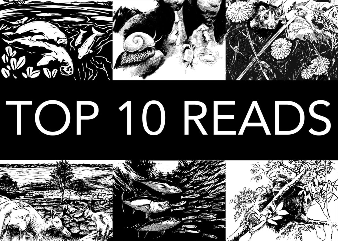 Top 10 reads from Wildlife in the Balance, Conservation and Wildlife