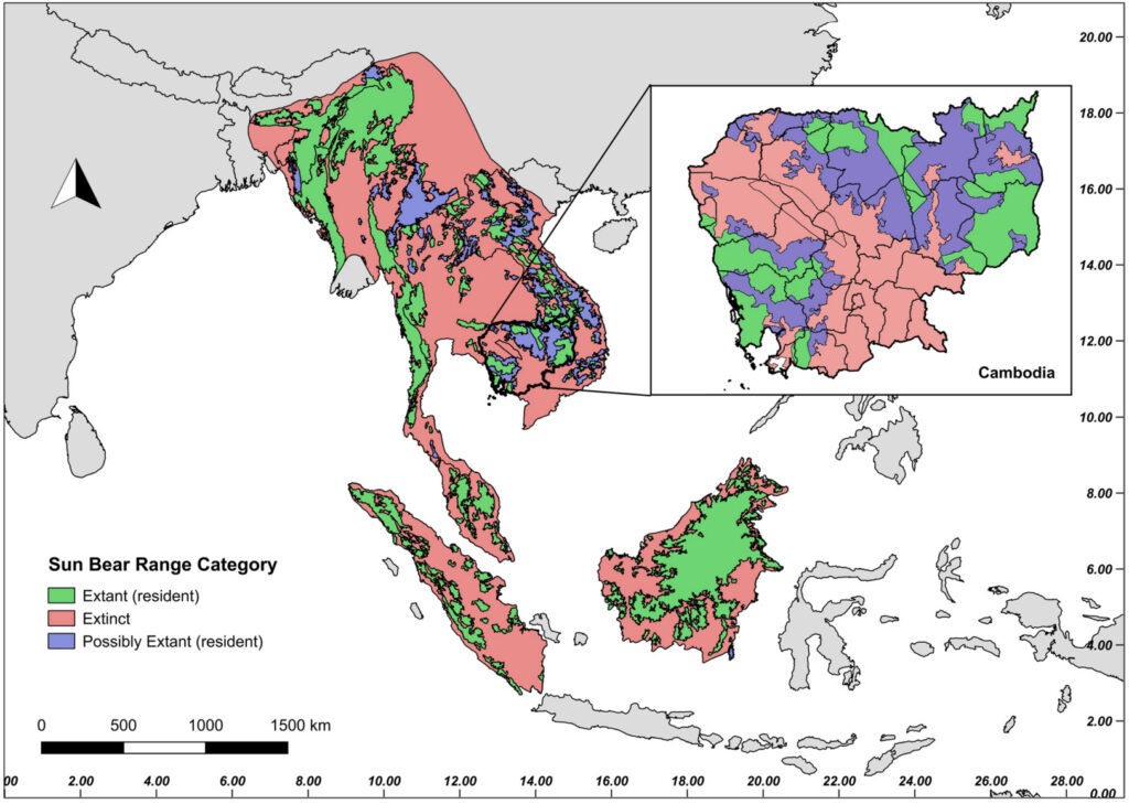 Why saving sun bears is important