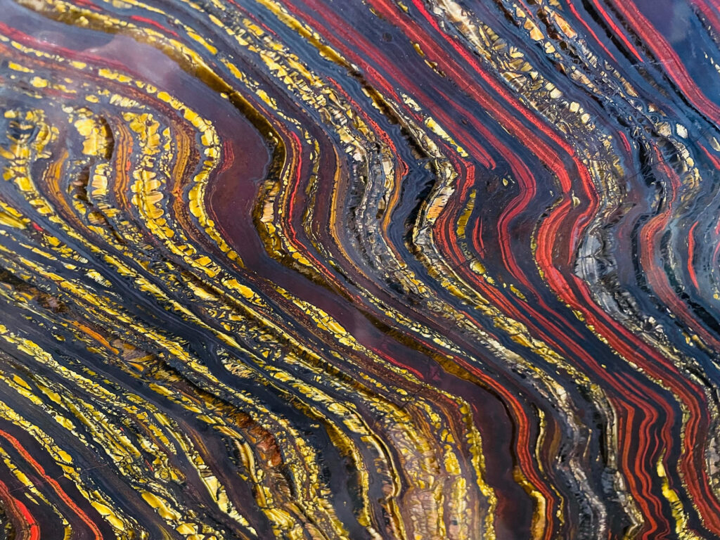 How fragile is life on Earth? Wildlife in the balance. Australia Layers of iron and silica laid down 2.5 billion years ago by bacteria. This slab of iron ore is housed in Museum Victoria and was blasted from rocks in the Pilbara in Western Australia. It was selected by stonemason Richard Williamson who polished it and donated it to the museum.