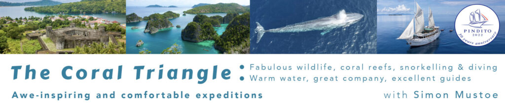 Coral Triangle Expeditions