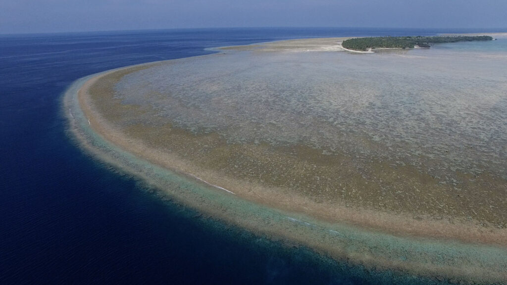 Jump on the Banda Wagon and visit the Lucipara Islands. 