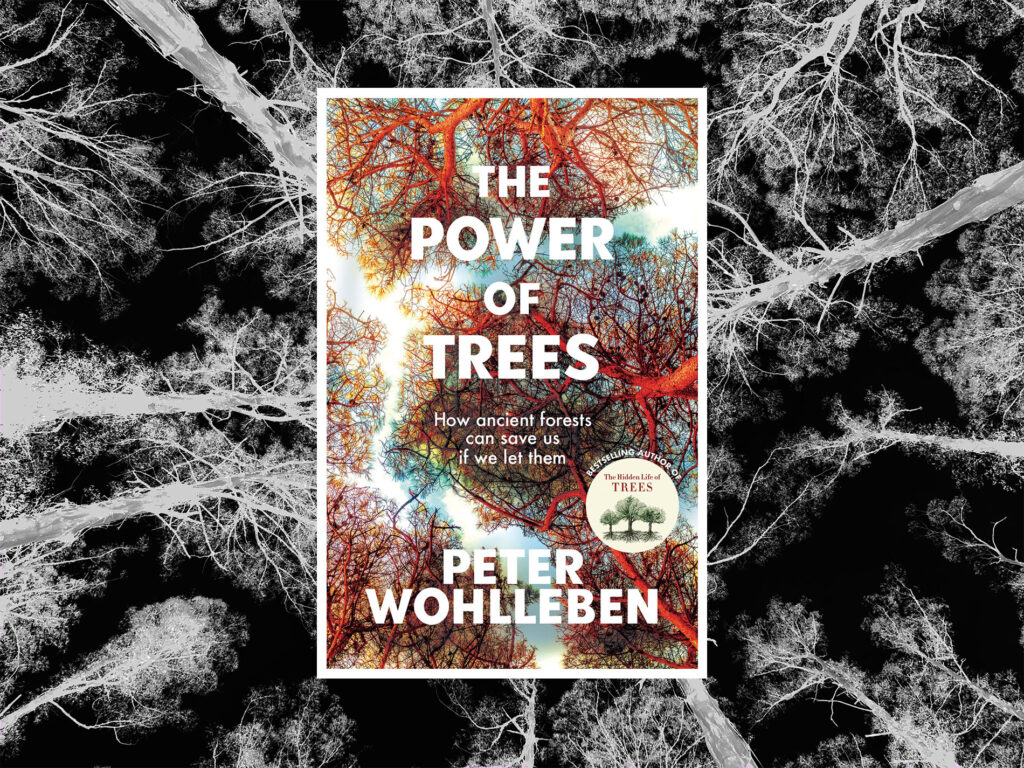 The Power of Trees by Wollehben: Ancient brains and animal impact