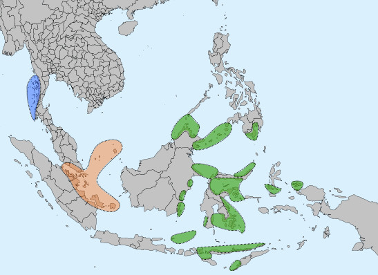 Why whale sharks matter. Distribution of three different Sama-Bajau peoples: Blue: Moken Orange: Orang Laut Green: Sama-Bajau