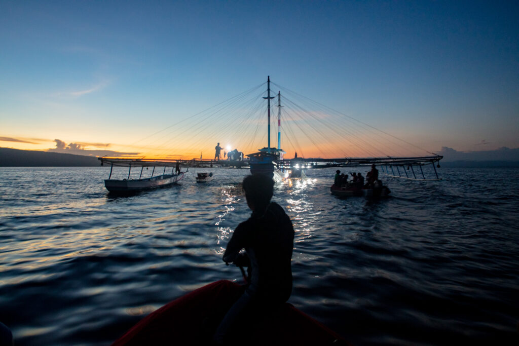 Swimming with Whale Sharks in Indonesia: a Photo Story