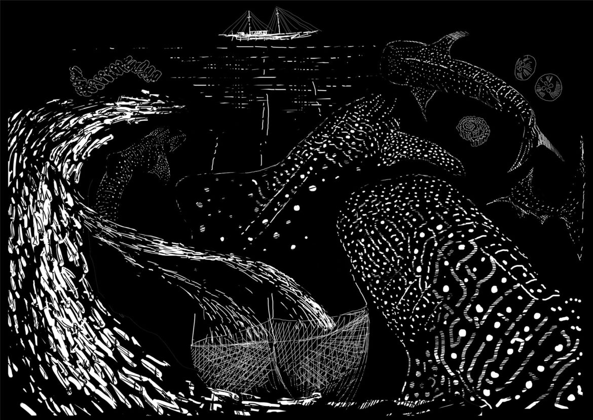 Eight, 20-tonne animals can congregate around a single bagan, where murmurations of baitfish and abundant plankton ascend at night. The sharks' spotted patterns take on a different meaning in black and white, when you realise how well they blend in under faint bioluminescence. Even their eyesight is adapted to detect its faint traces so it's believed they can see their prey, way below the surface. They aren't camouflaged to avoid predators. They are stealthy behemoths that quietly creep up on and among their prey. Image by Simon Mustoe.