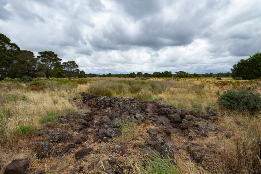 What is Budj Bim? Two channels divert water from a creek. So far, over 1,400m of these systems have been uncovered. They would have dotted the whole landscape but many were destroyed by farming. Along each of these, a hand-woven cylindrical net would have been placed to catch eels.    