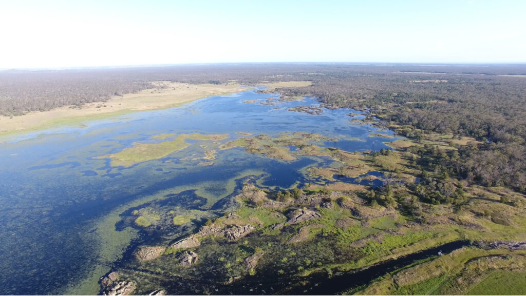 What is Budj Bim? Lake Condah is only about a fifth of its size. Ironically, systems like this are essential to the retention and slow-release of water. Water allocation was responsive and equitable, in order to feed local people. Modern agriculture relies on allocation to the most economically valuable exports, denying everyone who lives nearby, a 'fair go'. Indigenous food systems have more in common with our desire for food security and, therefore, that history will soon become a model for our future © Gunditj Mirring Traditional Owners Aboriginal. Author: Tyson Lovett-Murray