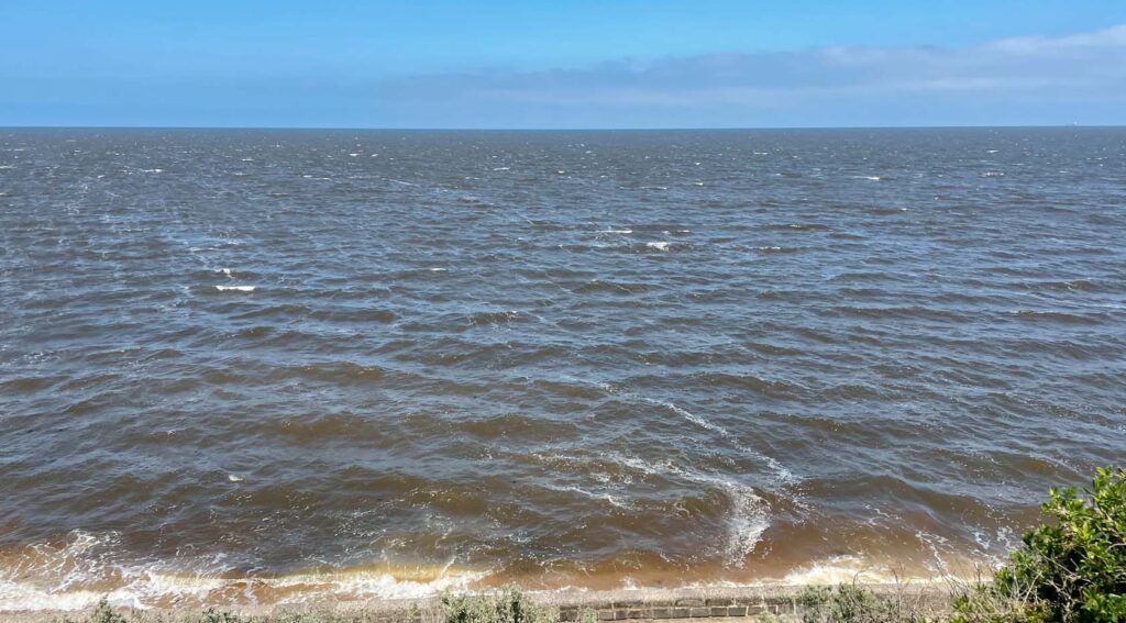 Impact of sewage spills in Port Phillip Bay, what is the impact? On the morning of the 10th January, you could smell sewage from the beaches at Black Rock. The water was brown. A thin strip of blue on the horizon indicated the western limit of this toxic plume (about 4.5 km offshore)